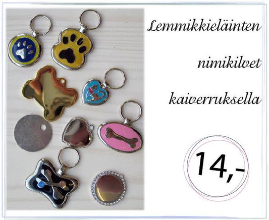 Lemmikkikilvet